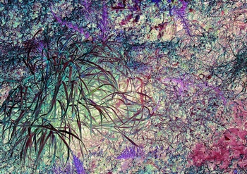 N 203C